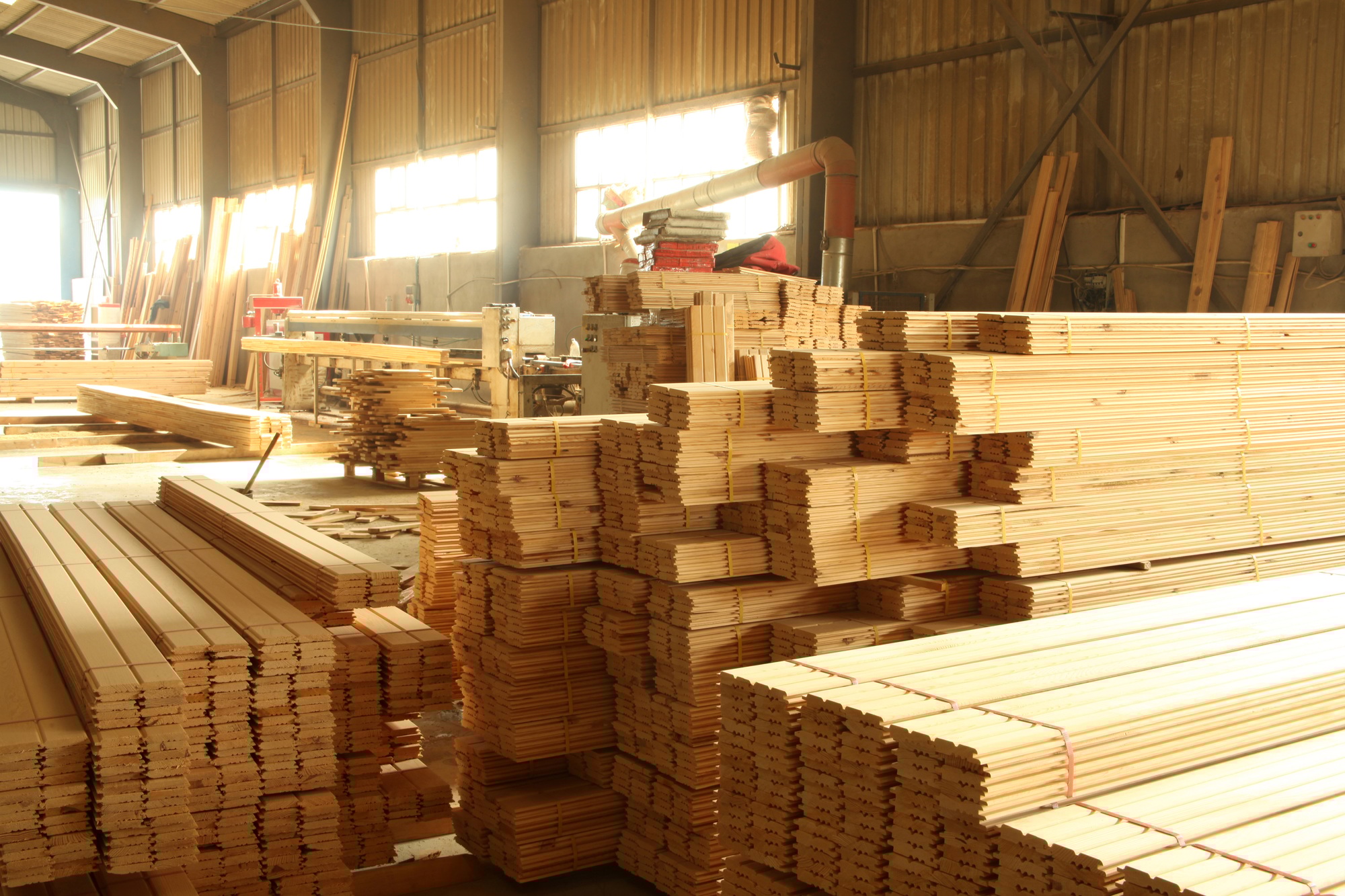 Erweitere deinen Horizont